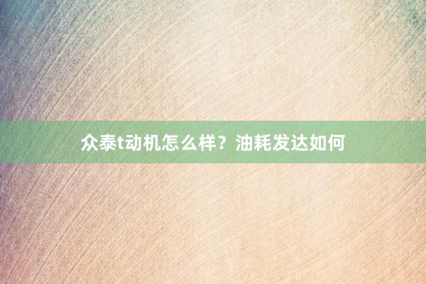 众泰t动机怎么样？油耗发达如何